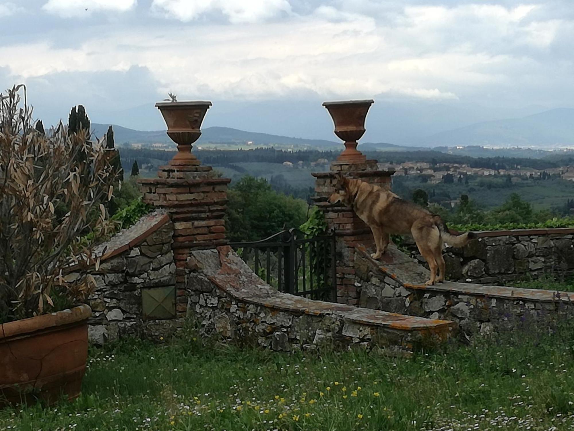 Agriturismo Podere La Cava Mercatale Val Di Pesa Exterior foto