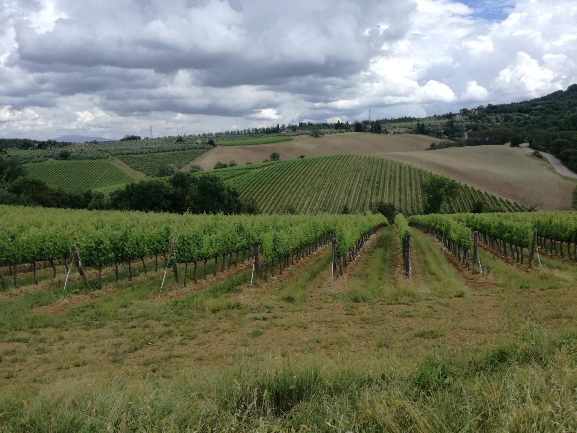 Agriturismo Podere La Cava Mercatale Val Di Pesa Exterior foto